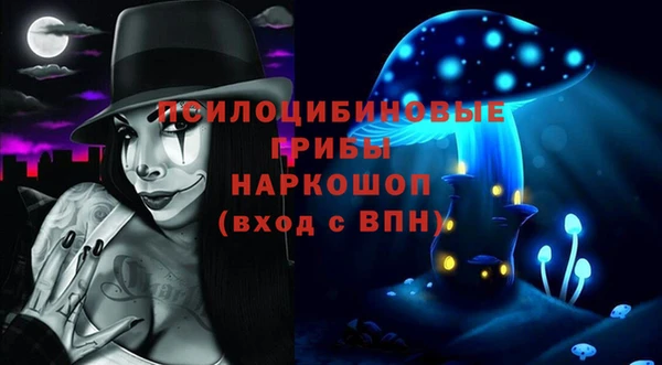 соль ск Вяземский