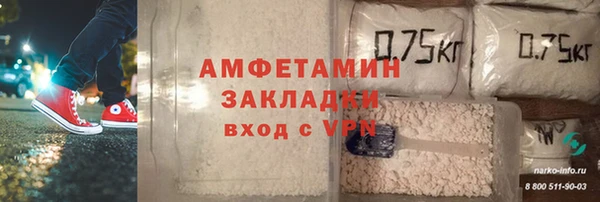 соль ск Вяземский
