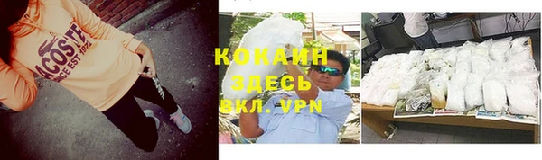 соль ск Вяземский