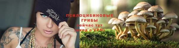 mdma Вязники