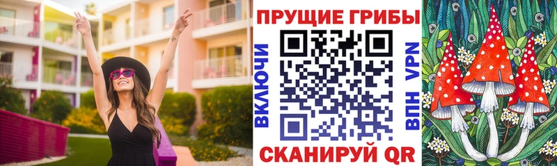 omg ссылка  купить наркоту  Перевоз  Галлюциногенные грибы Cubensis 